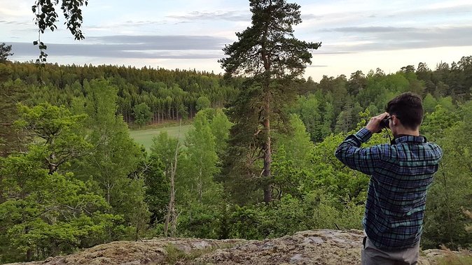 Evening Wildlife Safari Stockholm - Wildlife Population