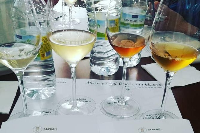 Evening Wine Tasting Córdoba - Traveler Photos and Reviews