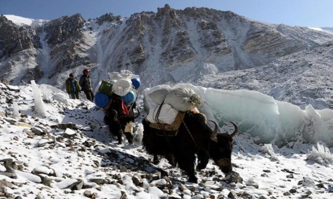 Everest Advanced Base Camp: The Thrill of High Altitude Trek - Inclusions and Exclusions