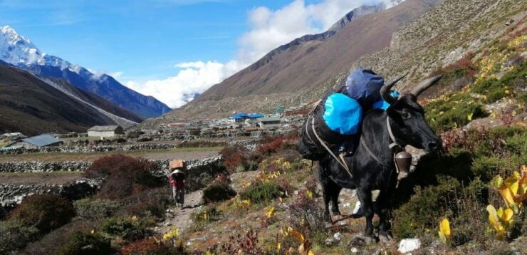 Everest Base Camp - Chola Pass - Gokyo Lake Trek - 15 Days - Trek Overview