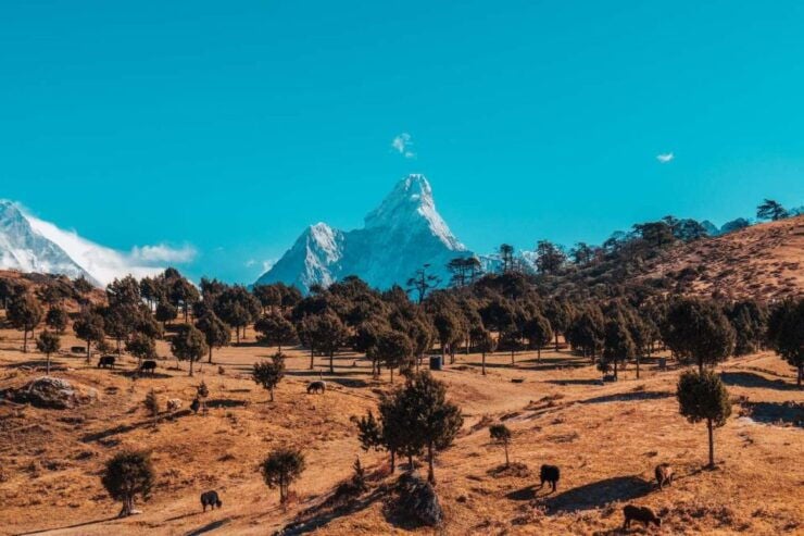 Everest Base Camp - Chola Pass - Gokyo Lake Trek - 15 Days - Itinerary Highlights