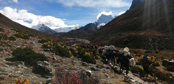 Everest Base Camp Comfort Trek - 15 Days - Duration and Language