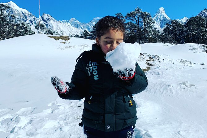 Everest Base Camp Helicopter Tour Stop at Everest View Hotel - Traveler Experiences and Reviews