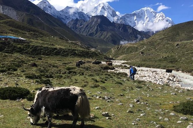 Everest Base Camp Helicopter Tour Stop at Everest View Hotel - Experience and Recommendations