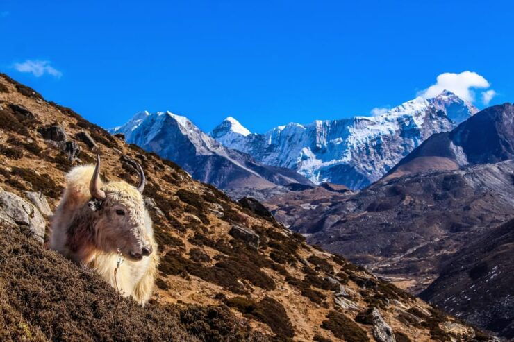Everest Base Camp Jeep Ride With Helicopter Return - Key Points