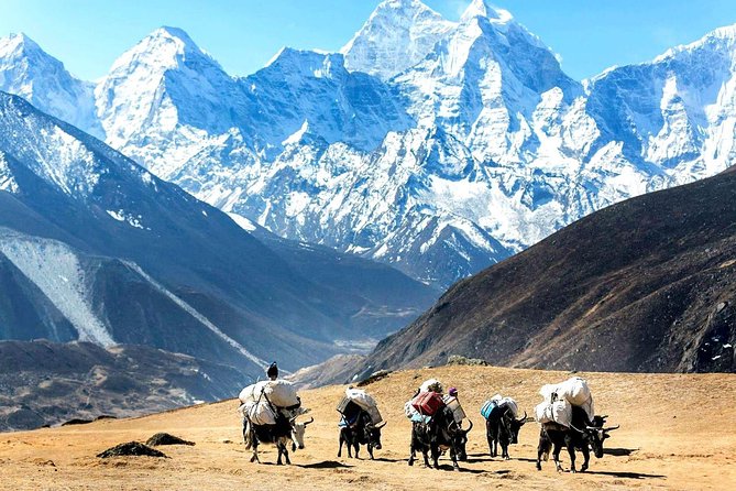 Everest Base Camp Private Heli Tour - Traveler Eligibility and Restrictions