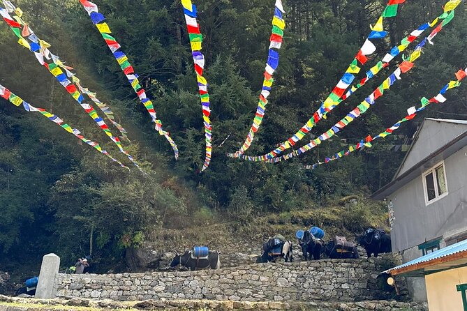 Everest Base Camp Trek - What to Expect on the Trail