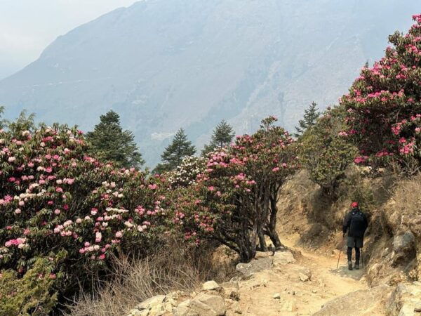 Everest Base Camp Trek 11 Days - Questions You May Have