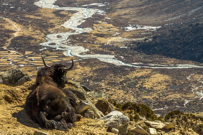 Everest Base Camp Trek - 13 Days - The Sum Up