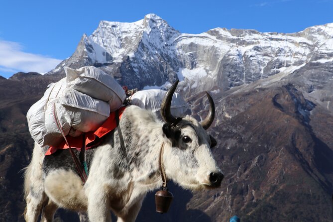 Everest Base Camp Trek 14 Days - Accommodation and Meals