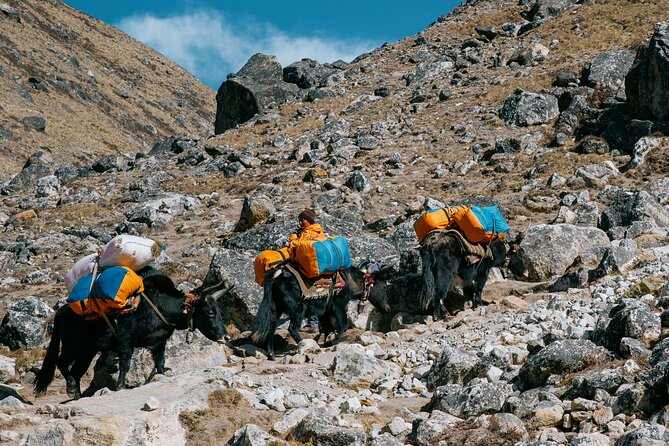 Everest Base Camp Trek - 14 Days - The Sum Up