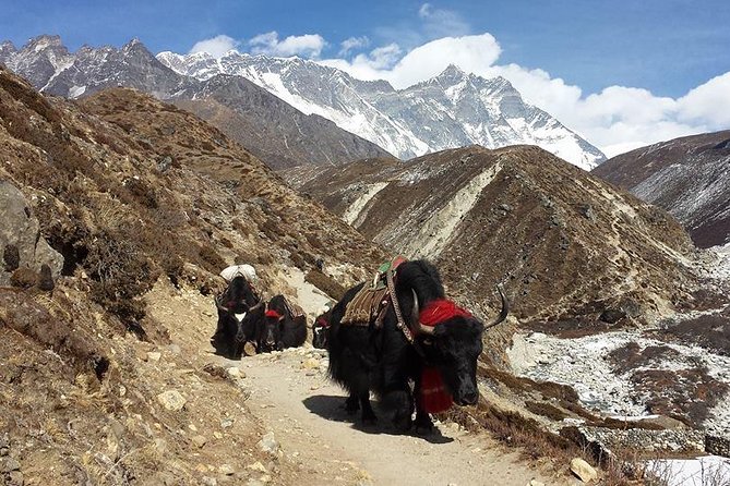 Everest Base Camp Trek - Meeting and Pickup Details