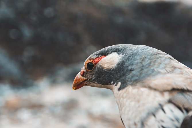 Everest Base Camp Trek - Common Questions