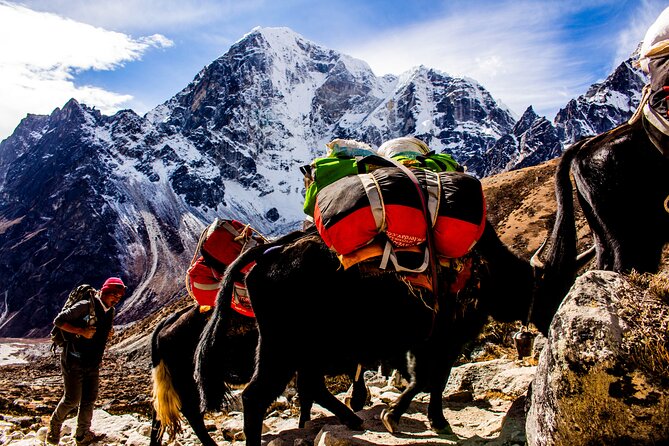 Everest Base Camp Trek - Tips for a Successful Trek