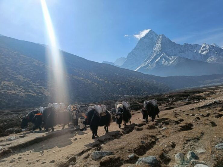 Everest Base Camp Trek - Booking Details for Everest Base Camp Trek