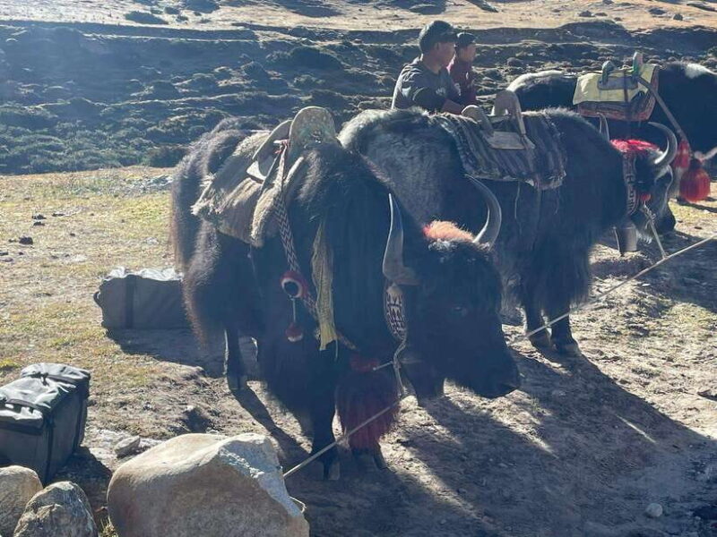 Everest Base Camp Trek - 6N/7D - Good To Know