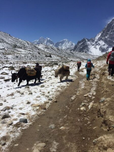 Everest Base Camp Trek - Additional Services and Pricing