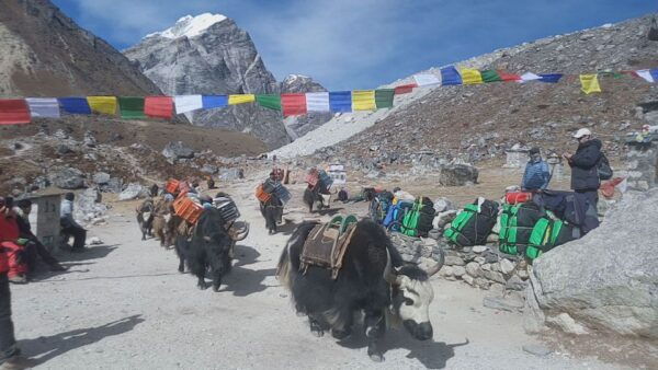 Everest Base Camp Trek - The Sum Up