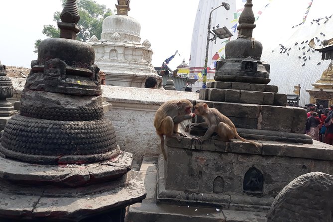 Everest Base Camp Trek and Fly Back by Helicopter 12 Days - Itinerary Overview