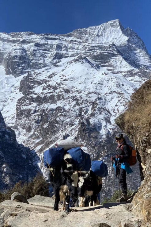 Everest Base Camp Trek by Helicopter Return -11 Days - Detailed Itinerary