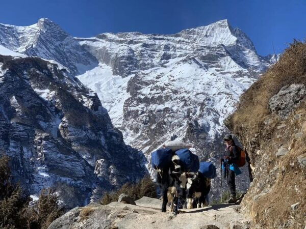 Everest Base Camp Trek by Helicopter Return -11 Days - Cultural Experiences