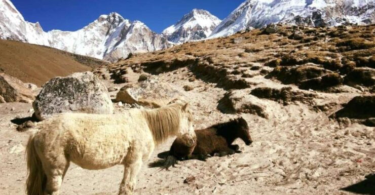 Everest Base Camp Trek Kala Patthar Trek - 13 Days - Tour Duration