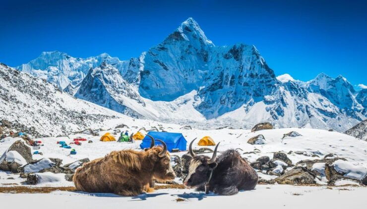 Everest Base Camp Trek: Majestic Himalayan Adventure Expert - Highlights of Everest Base Camp Trek
