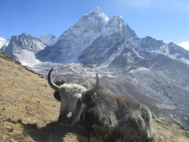Everest Base Camp Trek Package - Questions You May Have