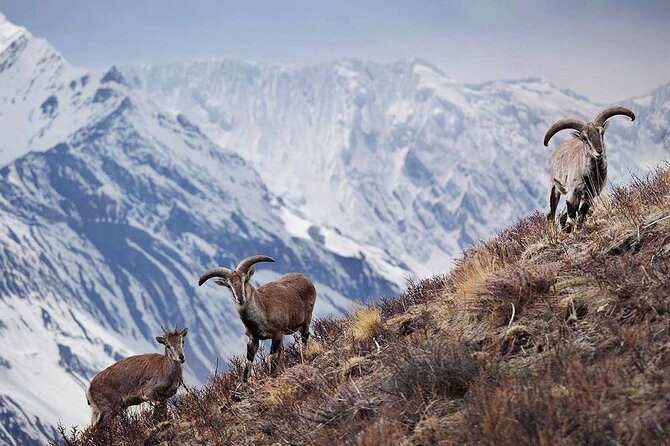 Everest Base Camp Trek With Kathmandu Valley Sightseeing Tour - Accommodation and Logistics