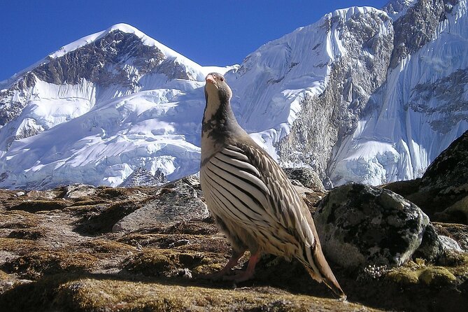 Everest Base Camp Trek With Kathmandu Valley Sightseeing Tour - Additional Information and Restrictions