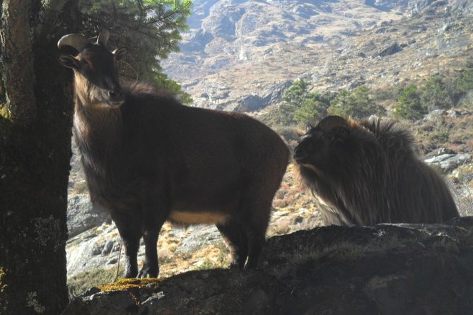 Everest Base Camp Trekking - 12 Days - Meeting and Pickup Details