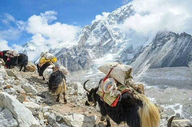 Everest Base Camp With Chola Pass via Gokyo Lakes - Trekking Itinerary