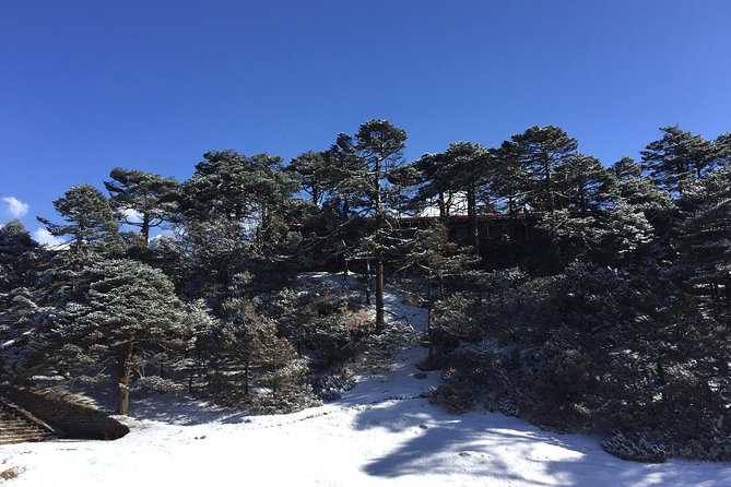 Everest Luxury Tour - Day 3: Flying to Syngboche and Hotel Everest View