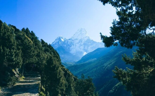 Everest Panorama Trek - Natures Grandeur in Every Step - Inclusions of the Trek