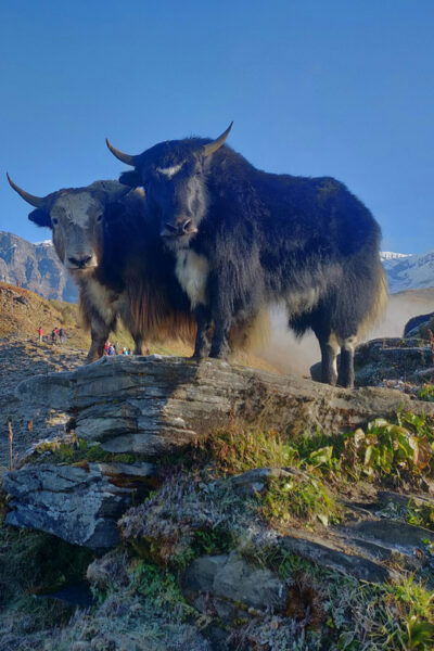 Everest Region: Private Everest Base Camp Trek 15 Days - Break Down