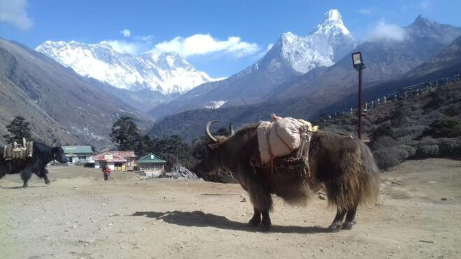 Everest Short Trek - 5 Days - Whats Not Included