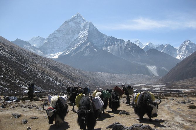 Everest Three (High) Passes Trekking - Accommodation Options