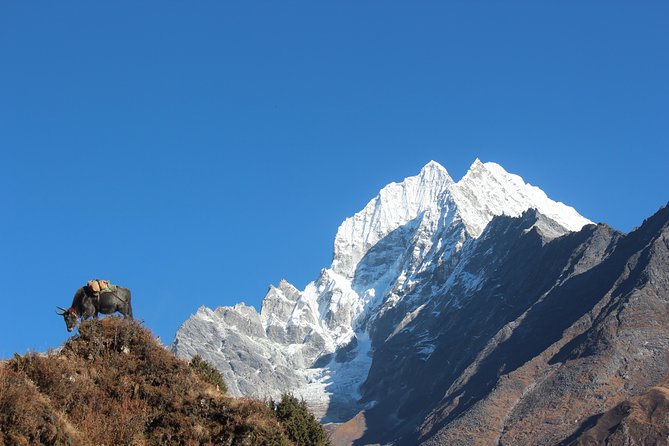 Everest Three Pass Trek - Common Questions