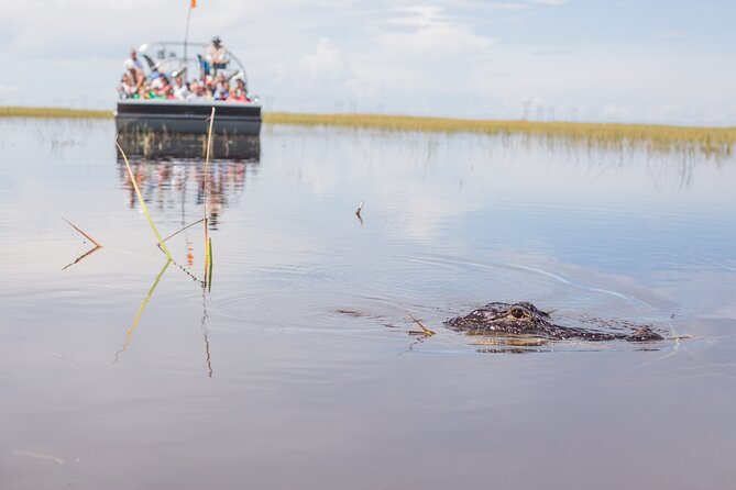 Everglades Admission Ticket With Airboat Ride and Wildlife Show - Ticket Details