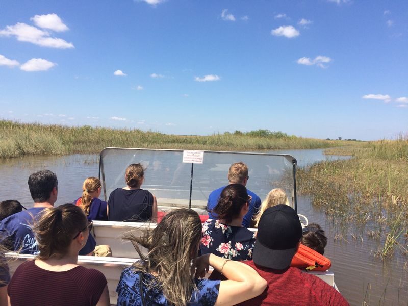 Everglades Airboat Guided Tour with Alligator Exhibit Presentation - The airboat ride is the reason to go
