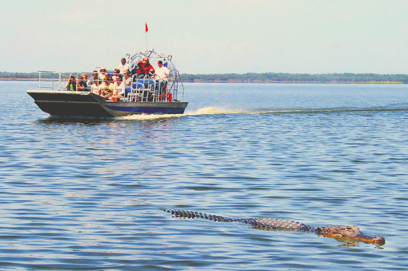 Everglades Airboat Guided Tour with Alligator Exhibit Presentation - Leaving Miami and getting to the park