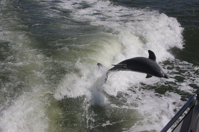 Everglades Airboat Nature Tour From Greater Fort Myers - Memorable Experiences