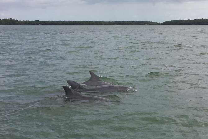 Everglades Airboat Nature Tour From Greater Fort Myers - Positive Feedback on the Tour
