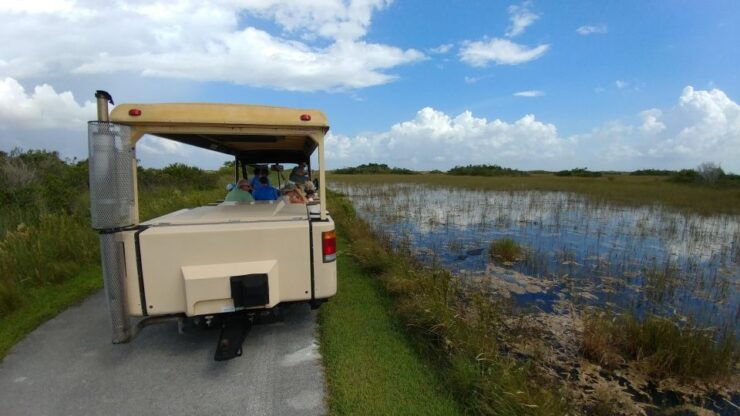 Everglades Airboat Ride & Tram Tour - Itinerary