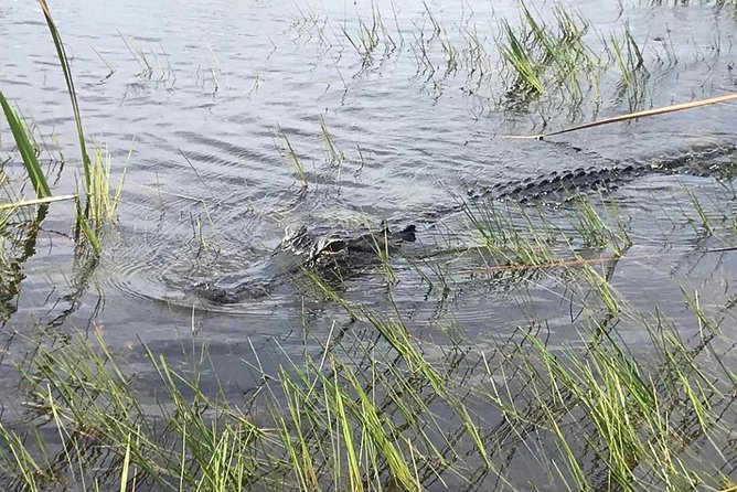 Everglades Airboat Safari - Common Questions