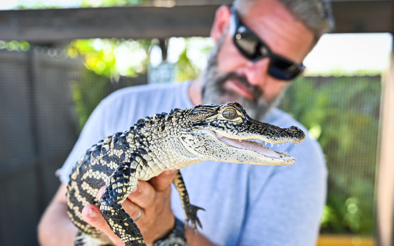 Everglades Airboat Tour from Miami - How much time the half-day trip really takes