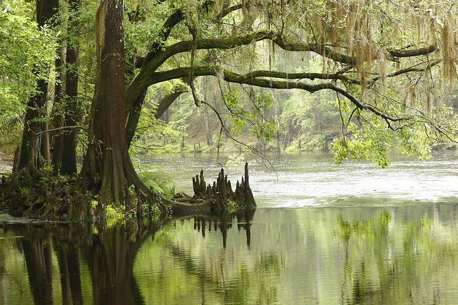 Everglades Airboat, Wildlife Experience With Roundtrip Transfer - Cancellation Policy