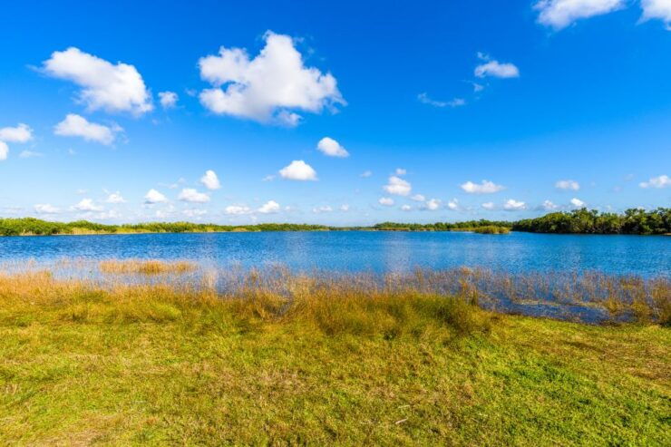 Everglades & Big Cypress Self Guided Driving Tour Bundle - Itinerary Details