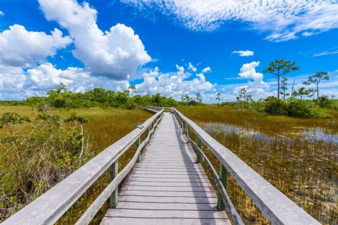 Everglades & Big Cypress Self Guided Driving Tour Bundle - Inclusions and Important Information