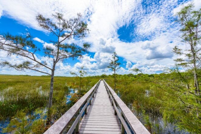 Everglades & Big Cypress Self Guided Driving Tour Bundle - Frequently Asked Questions
